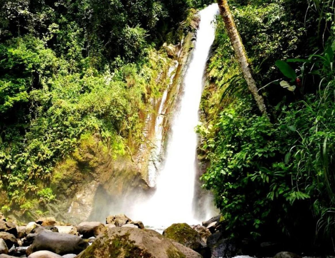 Hotel Wagelia Turrialba Bagian luar foto