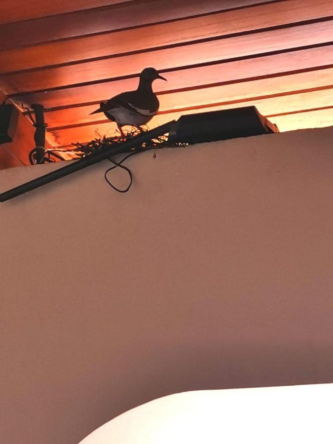 Hotel Wagelia Turrialba Bagian luar foto